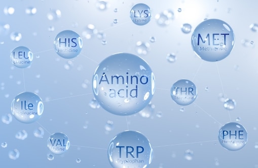 Aminoácidos