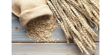 10 Alimentos que podem ajudar o intestino a entrar no rítmo