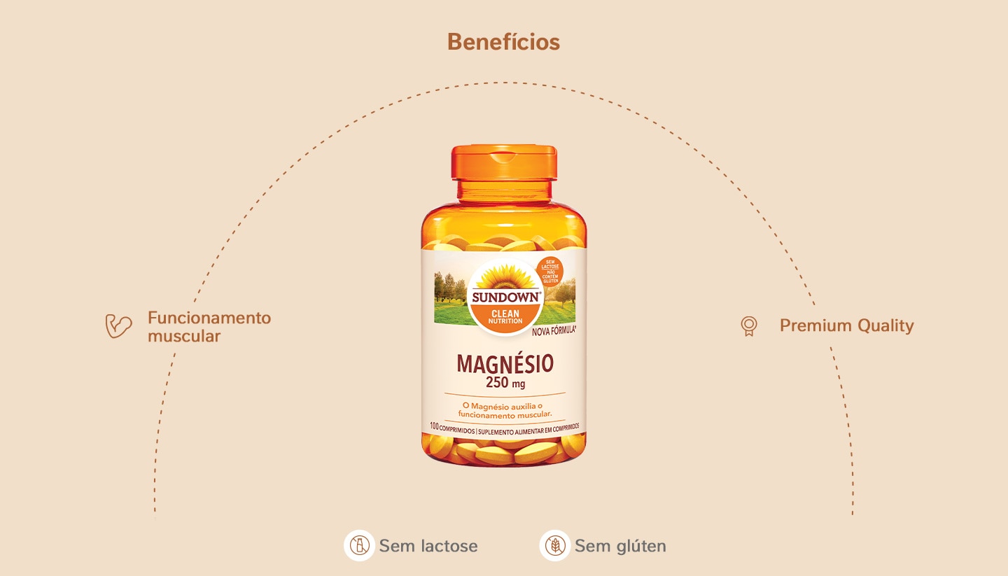Suplemento Alimentar Sundown Magnésio 250mg 100 Comprimidos
