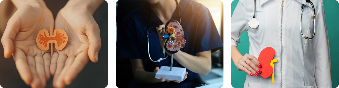  -Nestlé Nutrição até Você 