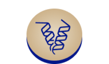 Prote&iacute;na e DHA