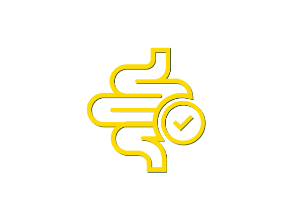 &Iacute;cone de intestino