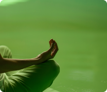 Nutrição Até Você -Nestlé Nutrição até Você 